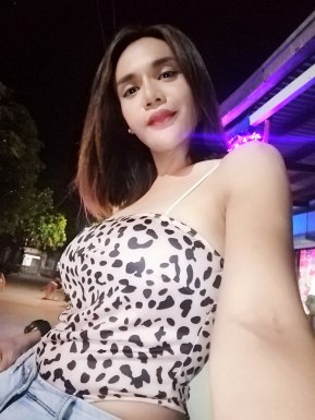 Thai ladyboys for dating / Ladyboys from Philippines for dating