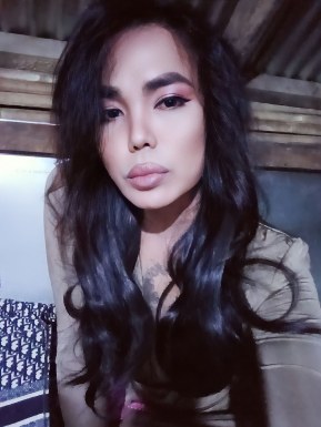 Thai ladyboys for dating / Ladyboys from Philippines for dating
