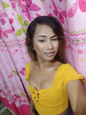 Thai ladyboys for dating / Ladyboys from Philippines for dating