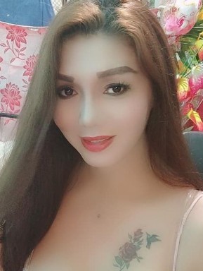 Thai ladyboys for dating / Ladyboys from Philippines for dating