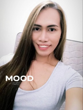 Thai ladyboys for dating / Ladyboys from Philippines for dating