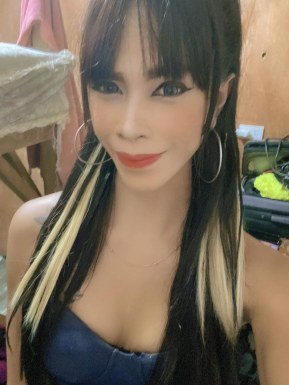 Thai ladyboys for dating / Ladyboys from Philippines for dating