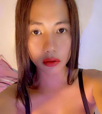 Thai ladyboys for dating / Ladyboys from Philippines for dating