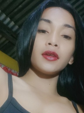 Thai ladyboys for dating / Ladyboys from Philippines for dating