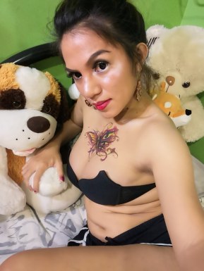 Thai ladyboys for dating / Ladyboys from Philippines for dating