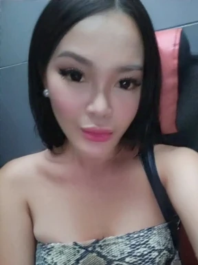 Thai ladyboys for dating / Ladyboys from Philippines for dating