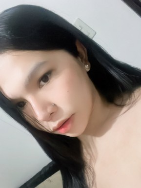 Thai ladyboys for dating / Ladyboys from Philippines for dating