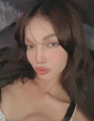 Thai ladyboys for dating / Ladyboys from Philippines for dating