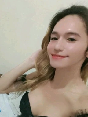 Thai ladyboys for dating / Ladyboys from Philippines for dating