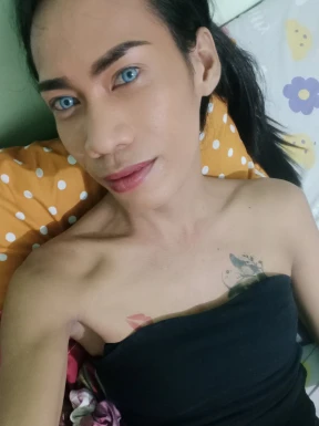 Thai ladyboys for dating / Ladyboys from Philippines for dating